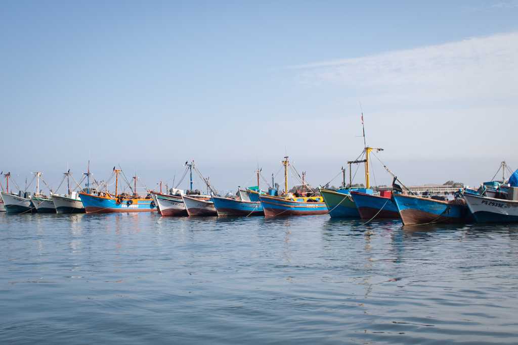 Fishing and tour boats