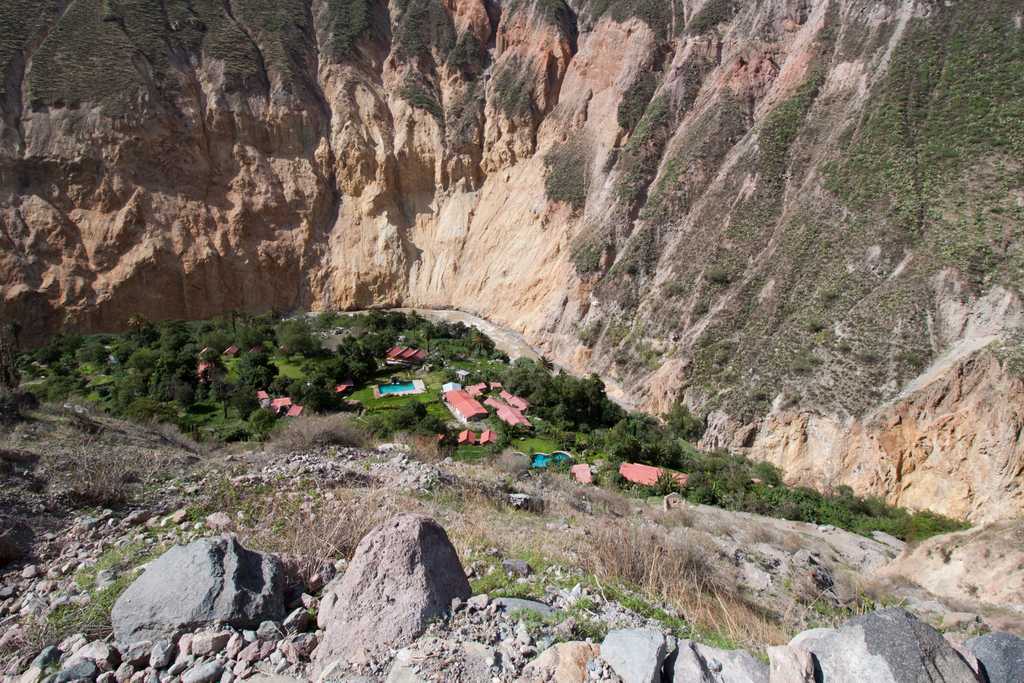 Looking straight down at the oasis