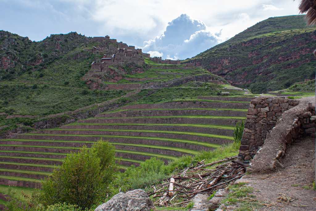 Farming terraces, with the fortress in the background