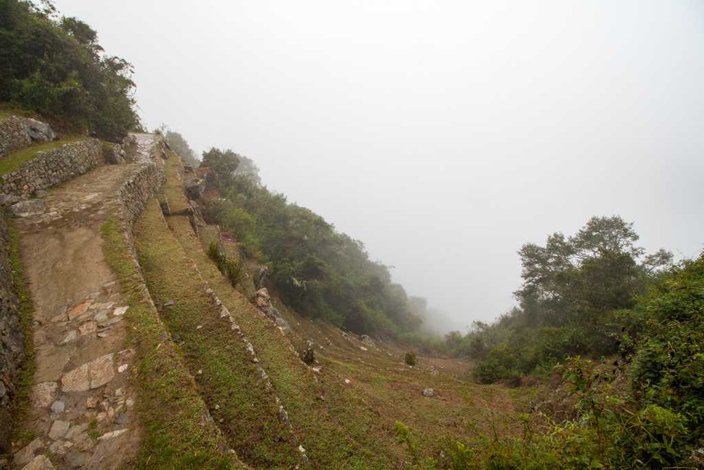 Glorious Machu Picchu, as seen from the Sun Gate