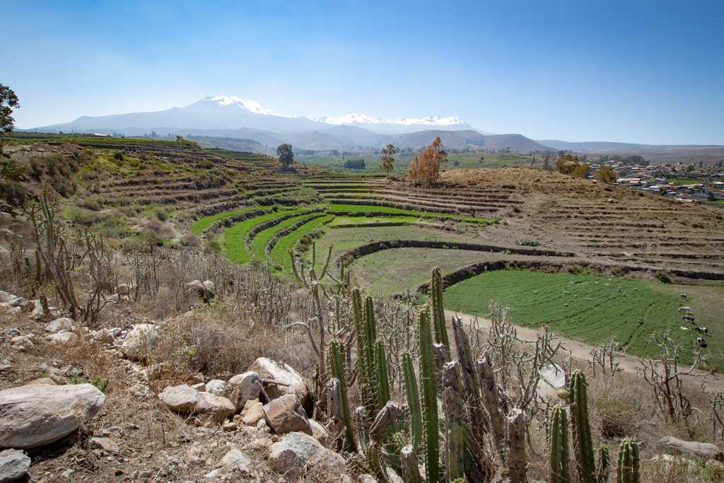 Terraced farmland all around