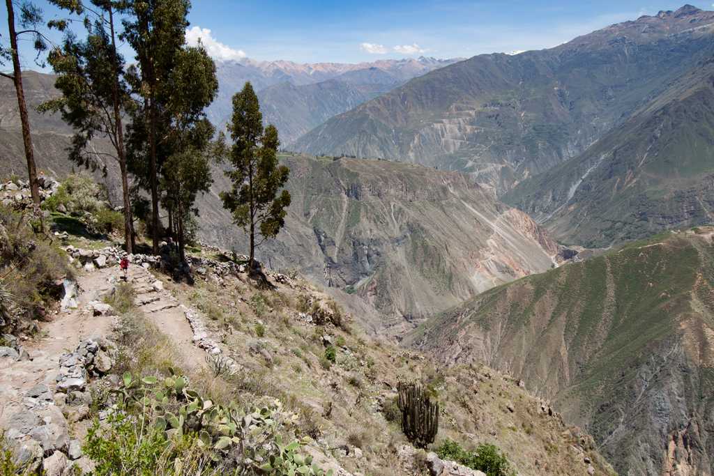 Safe enough for donkeys, but still a long way down