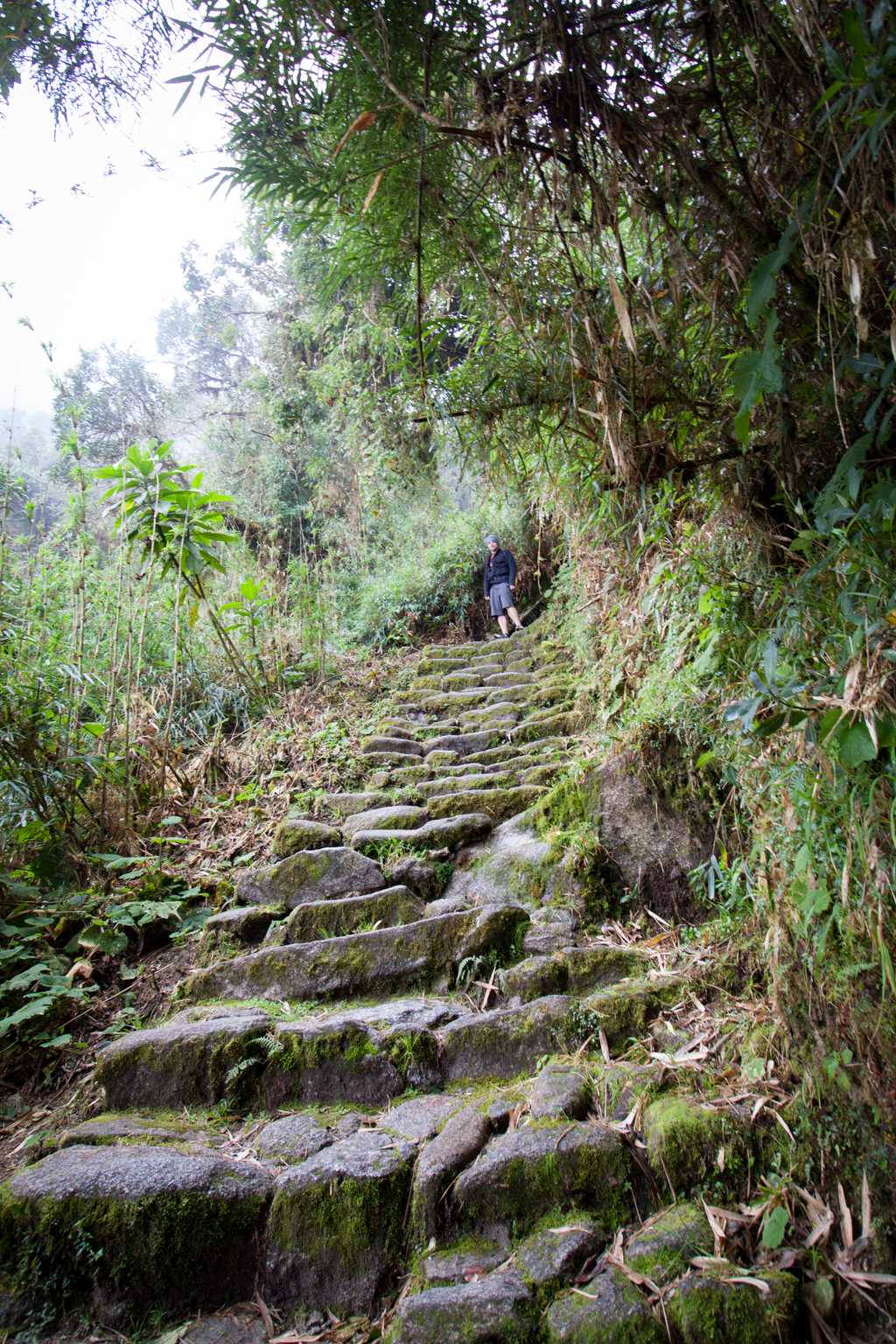 Steep steps